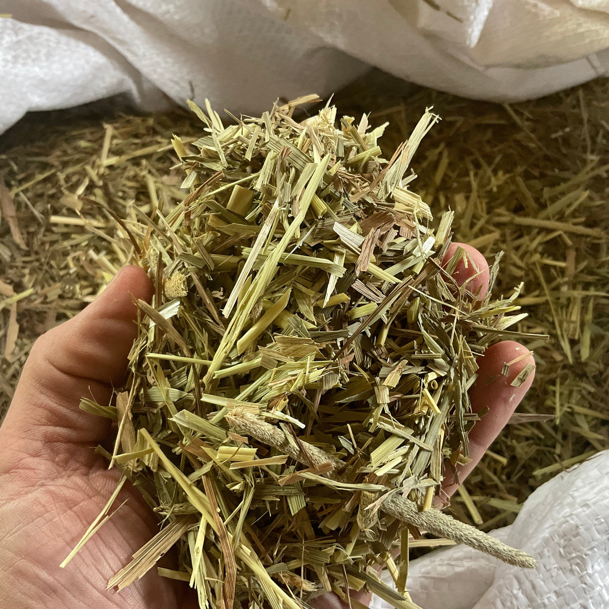 Timothy Hay Chaff – One Stop Bunny Shop